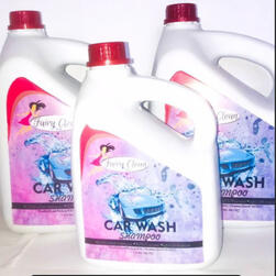 Car Wash
